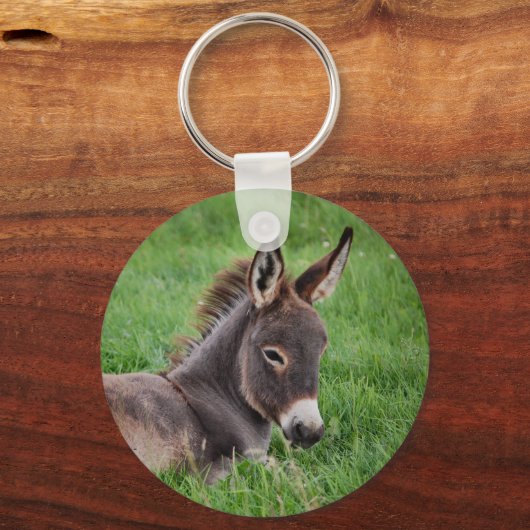 Porte-clés Donkey Dans L'Herbe (Recto)