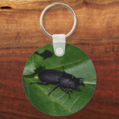 Porte-clés Dorcus parallelipipedus, le moindre dendroctone du (Recto)