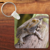 Porte-clés Dragon barbu central sur carte postale (Recto)