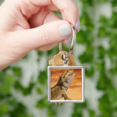 Porte-clés Dragon barbu (Pogona Vitticeps) sur la roche, (main)