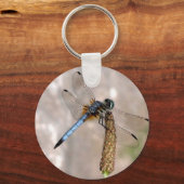 Porte-clés Dragonfly ! (Recto)