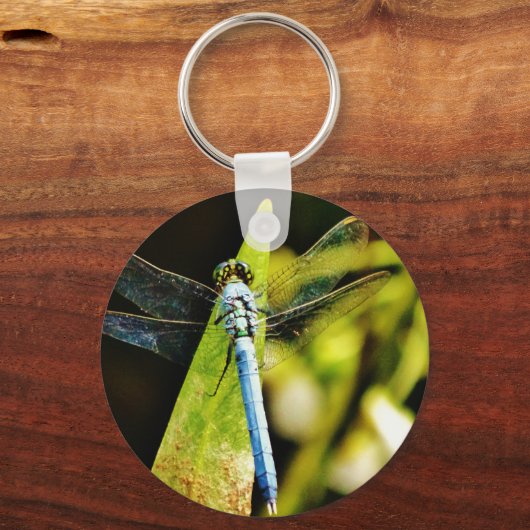 Porte-clés Dragonfly bleu clair (Recto)