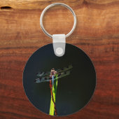 Porte-clés Dragonfly bleu et noir sur gazon vert et rouge (Recto)