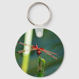 Porte-clés Dragonfly frontale rouge et noire