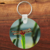 Porte-clés Dragonfly rouge et noire tachetée (Recto)