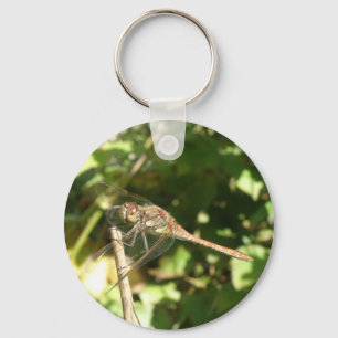 Porte-clés Dragonfly sur un Porte - clé de Twig