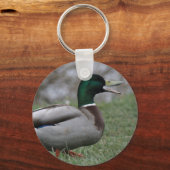 Porte-clés Drake Mallard Duck (Recto)