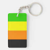 Porte-clés Drapeau de la Fierté Aromantique (Dos)