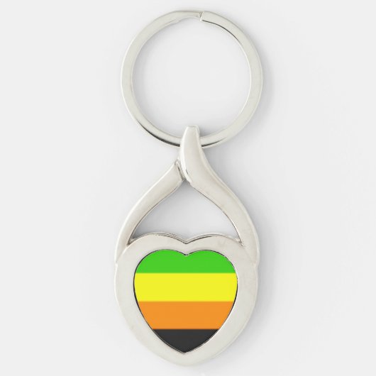 Porte-clés Drapeau de la Fierté Aromantique (Devant)