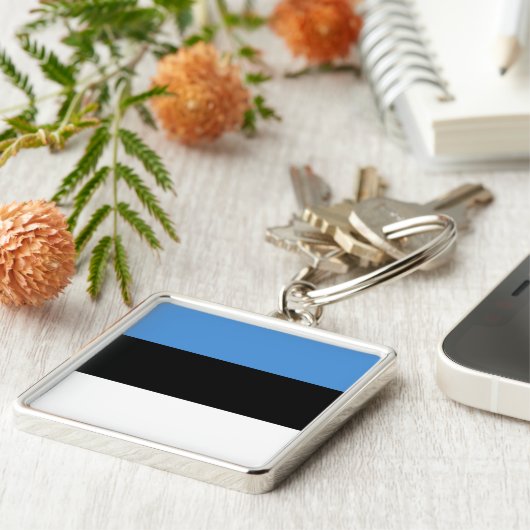 Porte-clés Drapeau EE de l'Estonie (Côté)