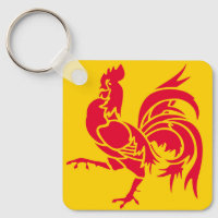 Drapeau Wallonie Belgique région province français