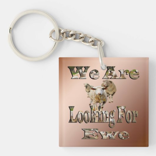 Porte-clés Drôle Jeu De Mouton À La Recherche D'Ewe, Clavier (Devant)