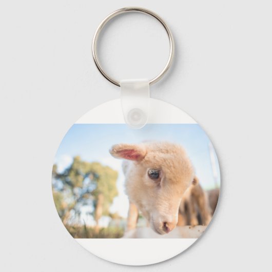 PORTE-CLÉS _DSC2491 (Recto)