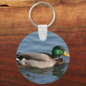 Porte-clés Duck Male Mallard (Recto)