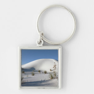 Porte-clés Dunes transversales et Yucca Soaptree