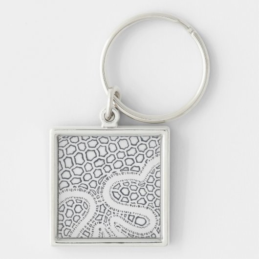 Porte-clés Échelle de serpent noir et blanc (Devant)