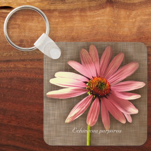 Porte-clés Échinacée pourpre Echinacea purpurea (Recto)