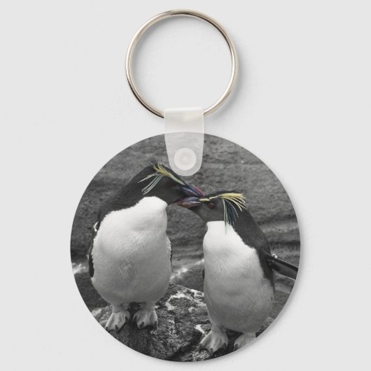 Porte-clés Éclaboussure de couleur de pingouin (Recto)