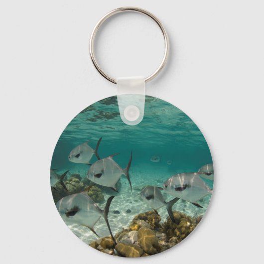 Porte-clés École de poissons permis (Recto)