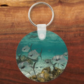 Porte-clés École de poissons permis (Recto)