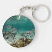 Porte-clés École de poissons permis (Dos)