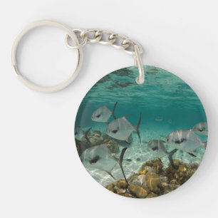 Porte-clés École de poissons permis