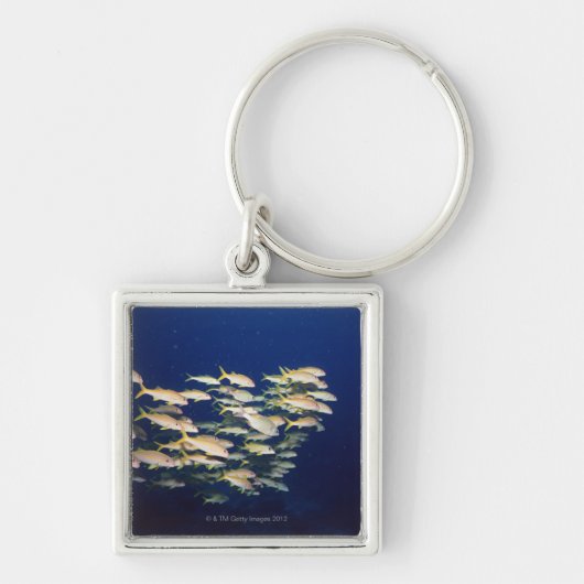 Porte-clés École des poissons 8 (Devant)