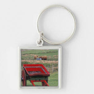 Porte-clés Écosse, île de Skye, Kilmuir. Animaux de ferme