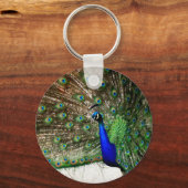 Porte-clés Écran Peacock Homme (Recto)