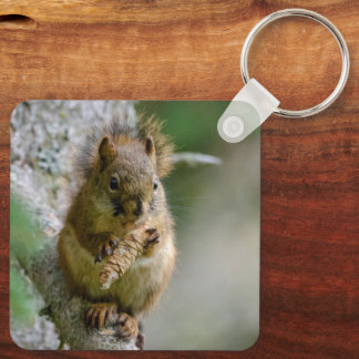 Porte-clés Écureuil Brun, Portrait de Nature Paisible