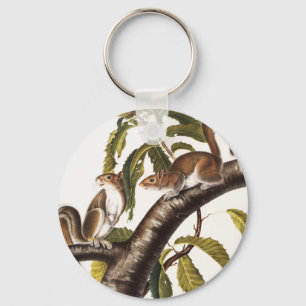 Porte-clés Écureuil gris de Caroline (Sciurus Carolinensis)