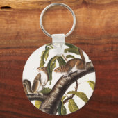Porte-clés Écureuil gris de Caroline (Sciurus Carolinensis) (Recto)