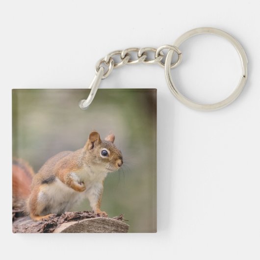 Porte-clés Écureuil rouge (Dos)