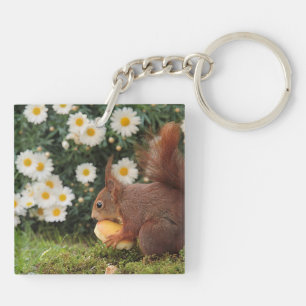 Porte-clés Écureuil roux mignon et pâquerettes