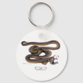 Porte-clés Eel, tony fernandes (Recto)