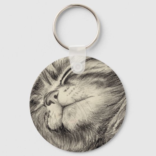 Porte-clés effritement de chat tabby (Recto)