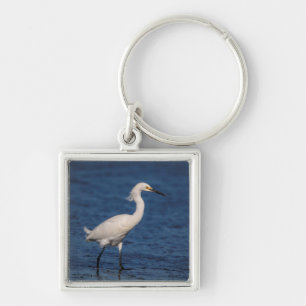Porte-clés Egret neigeux sur North Beach