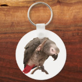 Porte-clés Einstein Parrot agitant (Recto)