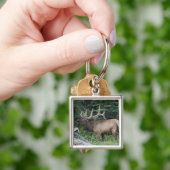 Porte-clés Élan bugling dans le parc national de Banff, Canad (main)