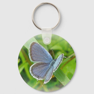 Porte-clés Éléments de coordination du papillon bleu à queue