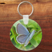 Porte-clés Éléments de coordination du papillon bleu à queue  (Recto)