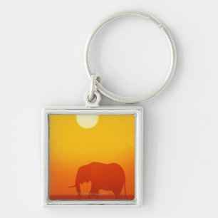 Porte-clés Éléphant africain marchant au coucher du soleil,