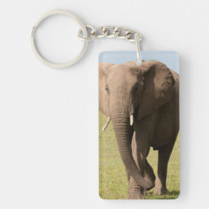 Porte-clés Éléphant d'Afrique (Loxodonta Africana), Maasai