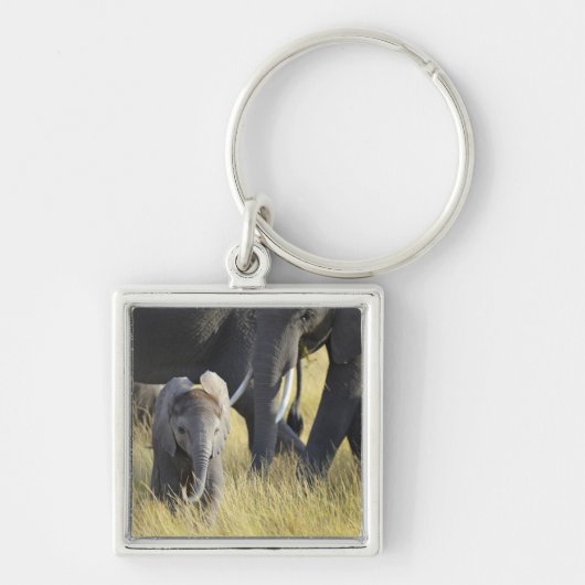 Porte-clés Éléphant de bébé (Devant)