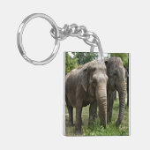 Porte-clés Eléphants asiatiques côte à côte (Devant gauche)