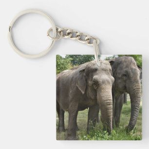 Porte-clés Éléphants asiatiques côte à côte