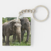 Porte-clés Eléphants asiatiques côte à côte (Dos)