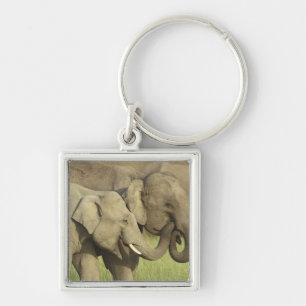 Porte-clés Éléphants asiatiques indiens