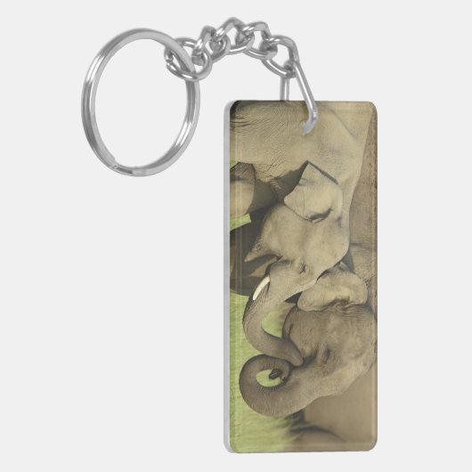 Porte-clés Eléphants d'Asie indienne (Devant gauche)