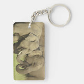 Porte-clés Eléphants d'Asie indienne (Dos)